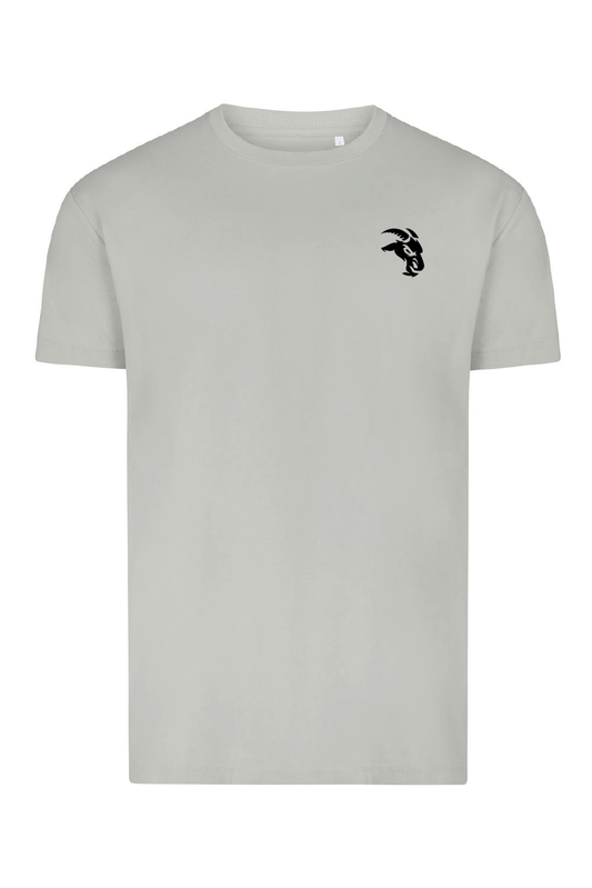 T-shirt Manga Curta ( Cinza )